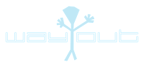 WAYOUT labs